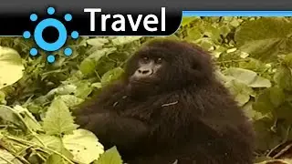 The Virunga National Park Vacation Travel Video Guide