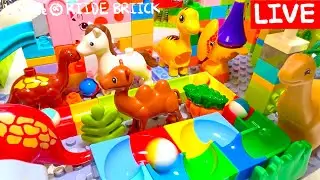 Can't Stop Watching! 🌀 7 Hours of Extreme Marble Race