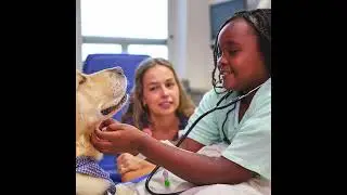 Wolfson Children's: Answers are found here