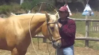 Edgar Guerrero