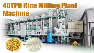40TPD Rice Milling Plant Machine Operation Video! Full Modern Paddy Processing Line! #rice #paddy
