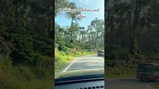 On the way to Scotland of India 🥰🍀🌴🌿🏞️. #fyp #soundon #viralreels #trendingshorts