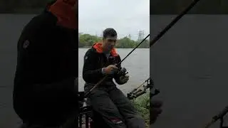 Фидерное удилище Maximus Red Devil X #fishing #фидер #рыбалка #фидернаяловля
