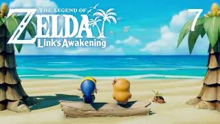 Legend of Zelda: Link's Awakening в бюджетном варианте. Часть 7.