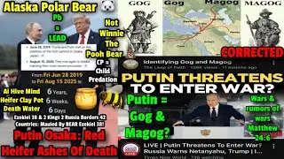 Red Heifers: Putin Polar Bear 42 Wicked Countries Mauled Red Heifer Death Water Ash #Christ #Rapture