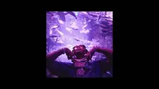 yōli - LAVENDER (PURPLE PILL Vol.1)