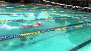 Competencia Piscina Larga 100m libre