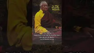 True Wealth: Finding Peace in Simplicity