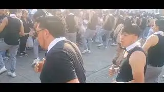 Grupo de Animación 