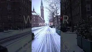 Copenhagen 2026 | Winter is coming | Bike Ride POV