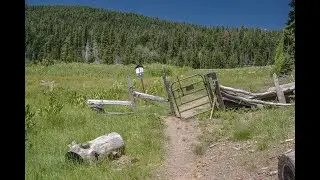 Willow Lake Gate