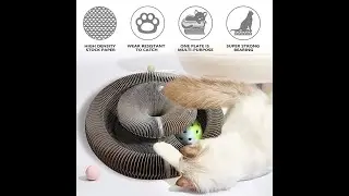 Magic Cat Scratch Organ Board Cat Toy with Ball