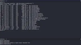 Linux Privilege Escalation - SUID (Environment Variables)