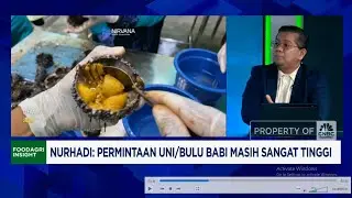 Ini Dia Harta Karun Ekspor Seafood RI, 3X Lipat Lebih Mahal Dari Tuna