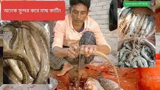 চিংড়ি মাছ কাটিং কেমন a.d fish cutting#youtube #youtube​#fishcutting_skills