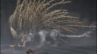 Elden Ring SOTE: The Charm Breaks and Golden Hippopotamus Boss Fight (No Blessings)