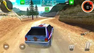 Rally Racer Dirt