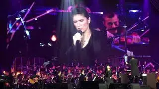 Elisa - Stranger (Arena di Verona 2017, ORCHESTRA)