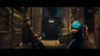 Ip Man : Finale  -  Bruce Lee fights in the Alley