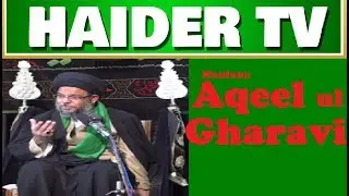 Maulana | Aqeel ul Gharavi | Majlis e Aza | Dargah Shah e Mardan | New Delhi | India