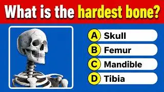 Only 5% Can Score 20/30 on This Bone Quiz! 🦴 #anatomy #biology #quiz
