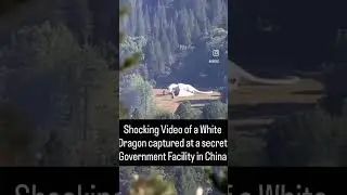 🐉Shocking video of a white dragon captured at at secret gouvernment facility in China🐉