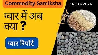 ग्वार में अब क्या ? ग्वार रिपोर्ट - 16 Jan 2026