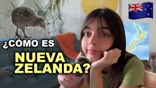 te muestro un panorama general de Nueva Zelanda