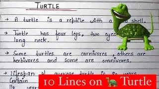 10 Lines on Turtle in English | Write an Essay on Turtle | Paragraph on Turtle