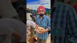 wmk 🙏🙏 Punjab Flood 🥺🙁| Whatsapp Status Video | urs_chahat13 ❤#shorts #diamondpunjab
