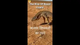 The Rise Of Beast Lizard 🦎😱 #shorts #youtubeshorts #shortsfeed @funniestanimals