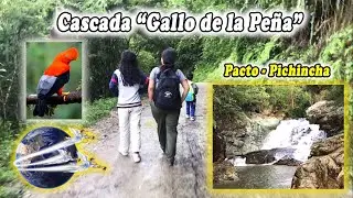 Cascada Gallo de la Peña | Pacto Turismo | #aventura
