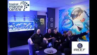 Out of the Offish with Colette Episode 7 -  The Reef Experience local fish shop tour