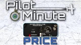 Pilot Minute: Why is it important to do a PRICE check before and during a flight?