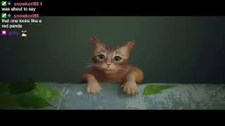 Stray Blind Part 1