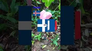 Iceland Flag coloring 🇮🇸☺️           #views #viralshort #chill #subscribe#funny #funnygame