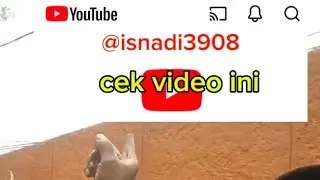 @isnadi3908 cara ngecat dinding / tembok /Risang beton 