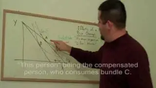 10. Income and Substitution Effects