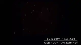 Our adoption journey