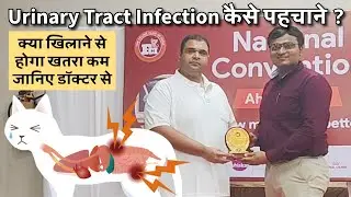 Urinary Tract Infection Symptoms in Cats | UTI Cure at Home | Convention by FCI in Ahmedabad | Hindi