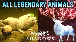 All Legendary Animals (Sumi-e) Locations - A Rare Occurrence Trophy - Assassin's Creed Shadows
