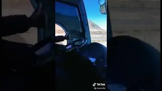 Golden Traveler autobuses