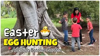 Life in Australia | Celebrated our &ldquo;FIRST EASTER&rdquo; in at Adelaide Botanical Garden (Egg Hunting)