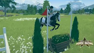 Entraînement de cross avec un jeune cheval 