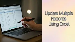 Dynamic 365 : Update Records Simultaneously Using Excel Online