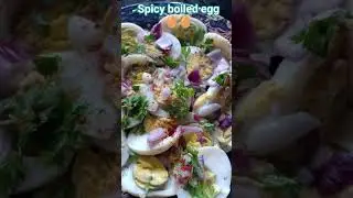 spicy boiled egg 🥚#food #youtubeshorts #love #odia #music ✨🌿
