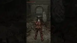 Вся суть Elden Ring: Shadow of the Erdtree часть 1