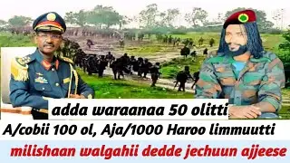A/cobii 100 ol, Aja/1000 Haroo limmuutti,  milishaan walgahii dedde jechuun ajjeese, 16 April 2025