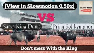 Satya vs Pring Sohkymphor Iadaw masi today (Tang 1 Second). #iadawmasi #TamilnaduJallikattuSports