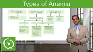 Anemia: Microcytic, Normocytic & Macrocytic Type &ndash; Hematology | Lecturio